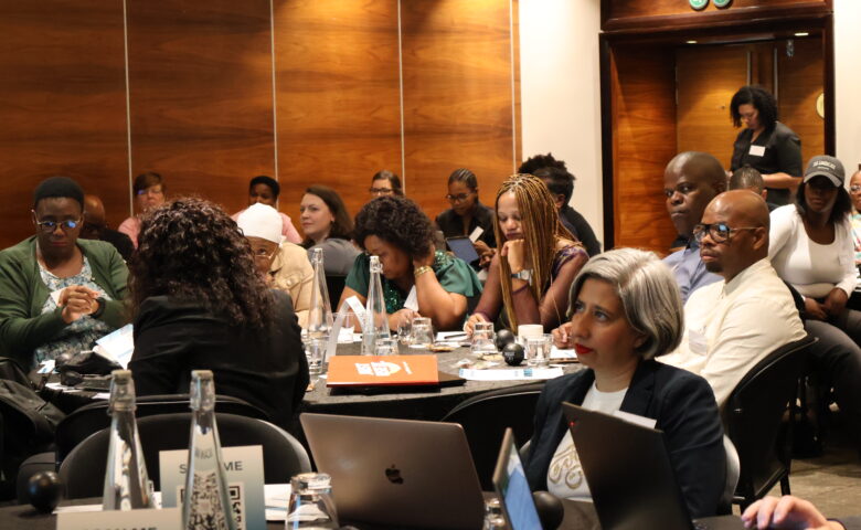South Africa’s health system at a crossroads as experts call for health taxes, prevention and stronger district care img 0510 780x480